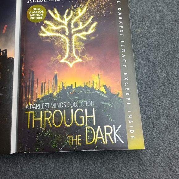 Alexandra Bracken The Darkest Minds Series 4 Book Paperback Boxed Set - Picture 6 of 9